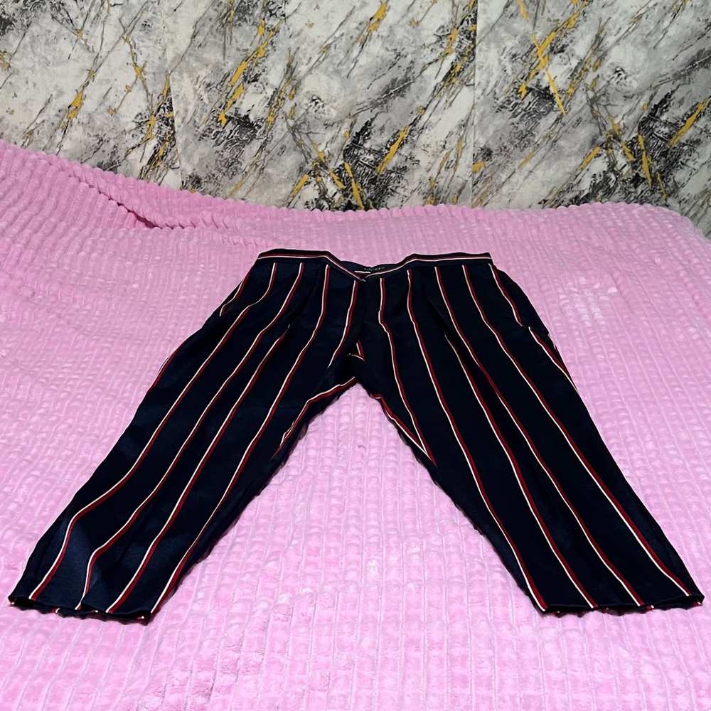 Navy blue Striped Pants